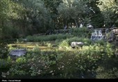 مسافران تابستانی در طاقبستان