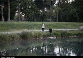 مسافران تابستانی در طاقبستان
