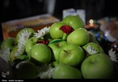 قاب‌هایی از بزرگ‌ترین سفره جهانی حضرت رقیه(س) در رشت