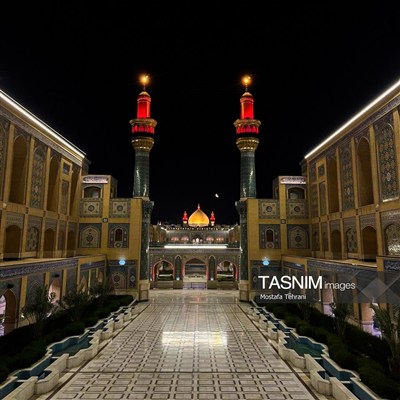 حرم امیر المومنین(ع)