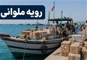 ابطال بخشی از آیین‌نامه ساماندهی مبادلات مرزی؛تغییر در ضوابط خروج کالا