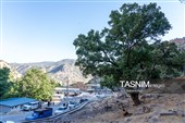 یادواره رهبرشهید انقلاب - الیگودرز