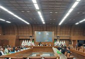 علی‌نژاد: اسکیت مغفول مانده است