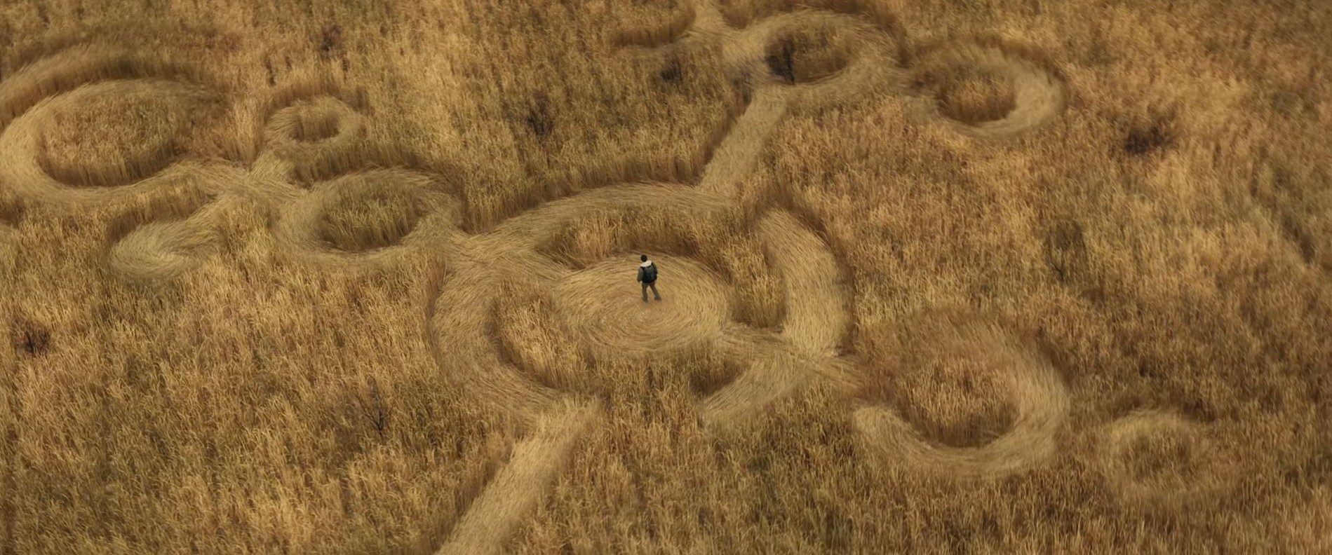 سینما , فیلم , هالیوود ,