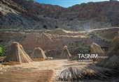 بازماندگان هنر کهن بوریابافی- زرقان فارس