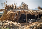 بازماندگان هنر کهن بوریابافی- زرقان فارس
