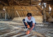 بازماندگان هنر کهن بوریابافی- زرقان فارس