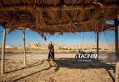 بازماندگان هنر کهن بوریابافی- زرقان فارس