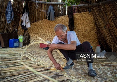 بازماندگان هنر کهن بوریابافی- زرقان فارس