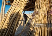 بازماندگان هنر کهن بوریابافی- زرقان فارس