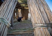 بازماندگان هنر کهن بوریابافی- زرقان فارس