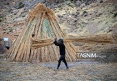 بازماندگان هنر کهن بوریابافی- زرقان فارس