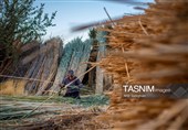 بازماندگان هنر کهن بوریابافی- زرقان فارس