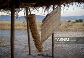 بازماندگان هنر کهن بوریابافی- زرقان فارس