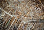 بازماندگان هنر کهن بوریابافی- زرقان فارس