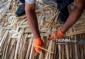 بازماندگان هنر کهن بوریابافی- زرقان فارس