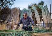 بازماندگان هنر کهن بوریابافی- زرقان فارس