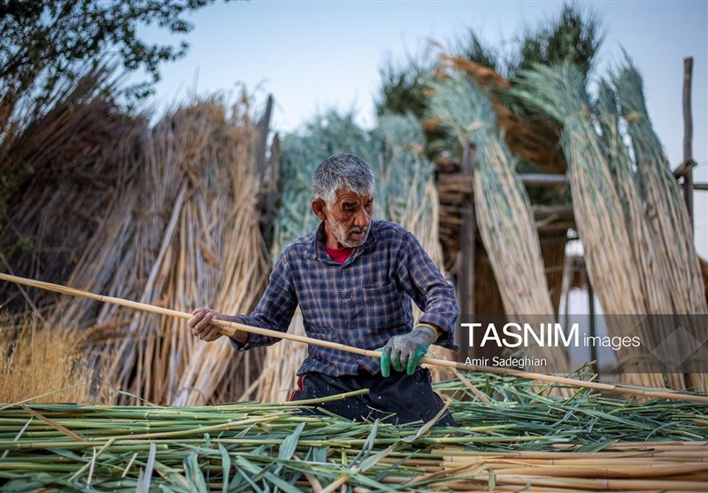 Reed Weaving Preserved as Living Heritage in Southern Iran