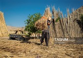 بازماندگان هنر کهن بوریابافی- زرقان فارس