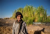 بازماندگان هنر کهن بوریابافی- زرقان فارس