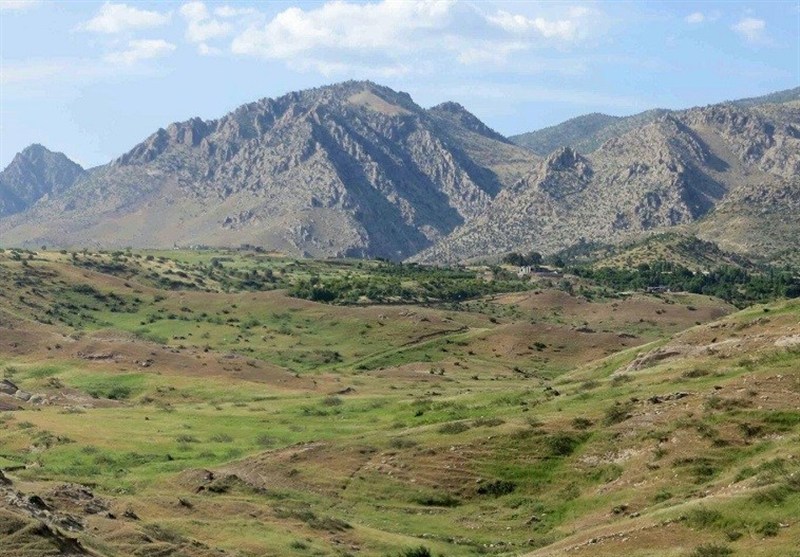مشاهده یک خانواده خرس قهوه‌ای در سفیدکوه خرم‌آباد