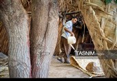 Древнее искусство «Буриябафи» (традиционное ткачество) Ирана — провинция Фарс