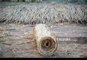 Древнее искусство «Буриябафи» (традиционное ткачество) Ирана — провинция Фарс