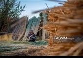 Древнее искусство «Буриябафи» (традиционное ткачество) Ирана — провинция Фарс