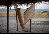 Древнее искусство «Буриябафи» (традиционное ткачество) Ирана — провинция Фарс