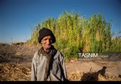 Древнее искусство «Буриябафи» (традиционное ткачество) Ирана — провинция Фарс