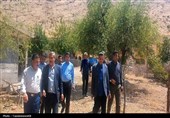 احیای چاه‌های کورسا؛ گام عملی کهگیلویه برای تثبیت تولید و امنیت غذایی