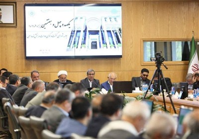 سود حاصل از سهام عدالت ظرفیتی نهفته برای اقتصاد است