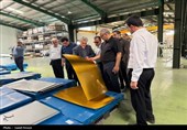 بازدید معاون وزیر تعاون از واحدهای صنعتی و تولیدی استان بوشهر