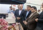 آغاز نمایشگاه هفته ملی مهارت در لرستان
