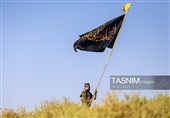 Паломники, совершающие паломничество в Кербелу, идут по длинным дорогам