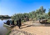 Паломники, совершающие паломничество в Кербелу, идут по длинным дорогам