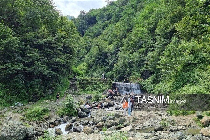 نظام مسائل استان گیلان , اخبار استان گیلان , 