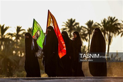 پیاده روی اربعین حسینی در شهر شامیه عراق
