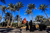 پیاده روی اربعین حسینی در شهر شامیه عراق