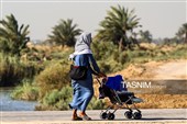 پیاده روی اربعین حسینی در شهر شامیه عراق