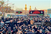 کربلای معلی در آستانه اربعین حسینی(ع)