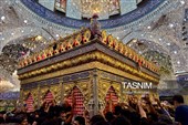 کربلای معلی در آستانه اربعین حسینی(ع)