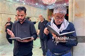 کربلای معلی در آستانه اربعین حسینی(ع)