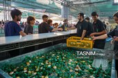 روایت بی‌وقفه خدمت در مسیر عاشقی زائران اربعین