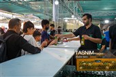 روایت بی‌وقفه خدمت در مسیر عاشقی زائران اربعین