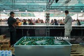 روایت بی‌وقفه خدمت در مسیر عاشقی زائران اربعین