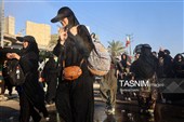 پیاده روی زائرین اربعین حسینی در مسیر نجف به کربلا