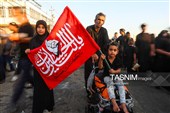 پیاده روی زائرین اربعین حسینی در مسیر نجف به کربلا