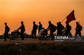 پیاده روی زائرین اربعین حسینی از طریق العلما