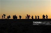 پیاده روی زائرین اربعین حسینی از طریق العلما